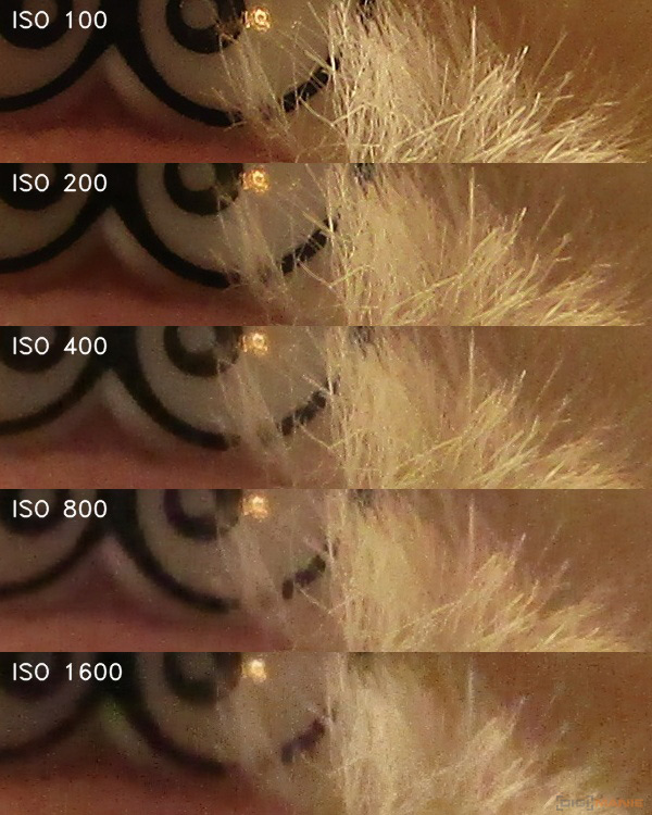 Canon PowerShot SX430 IS: milovník přírody