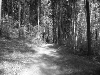 Konica Minolta Dimage E50 - pro každého něco...