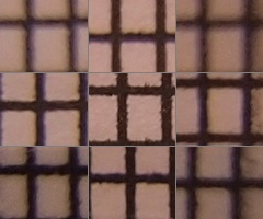 Olympus M.Zuiko Digital 14-150 mm F4-5,6