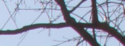 Megatest ultrazoomových objektivů