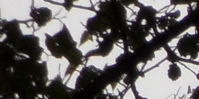 Samsung WB210: dotkněte se 21 milimetrů!