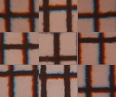 Canon EOS 550D: třídní premiant