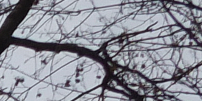 Fujifilm X-S1: jedinečný