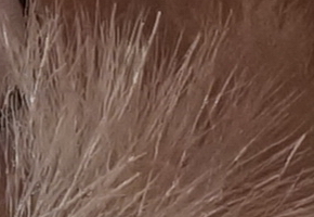 Sony a3000 (ILCE-3000): CSC co nejlevněji