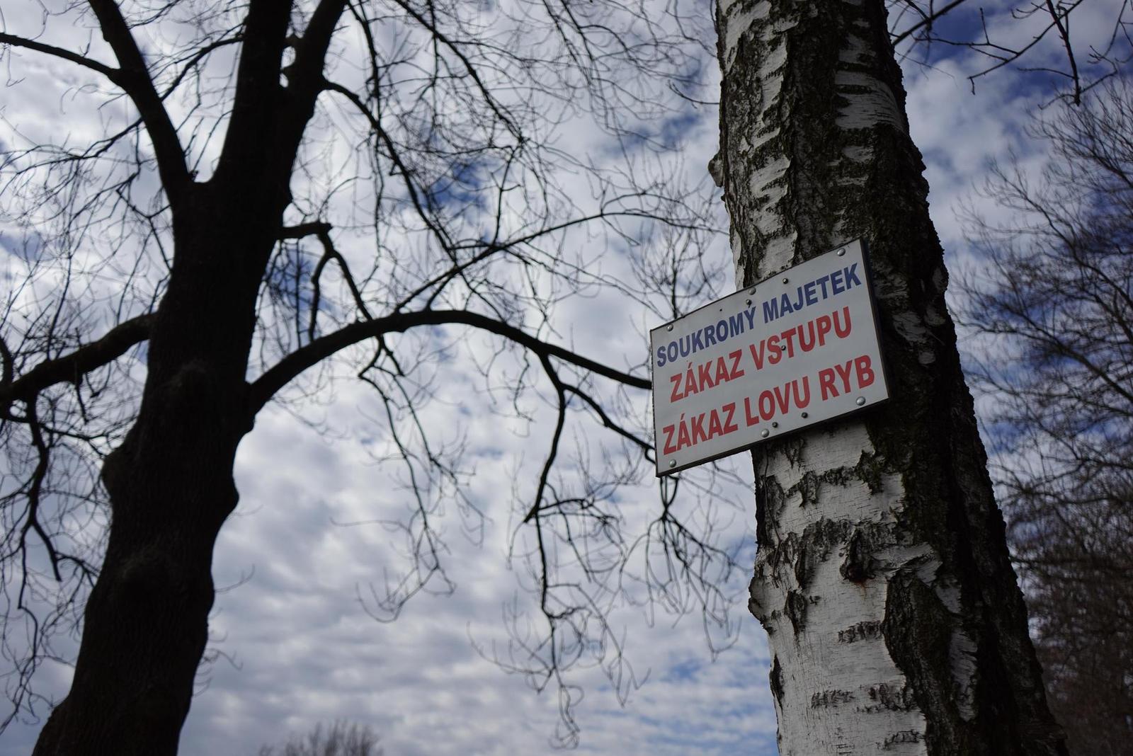 Sony FE 28-70mm F3.5-5.6 OSS (SEL2870)