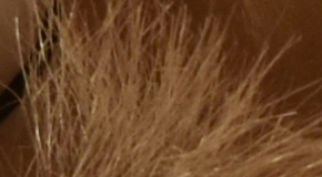 Nikon D7200: přesvědčivé zrcadlo