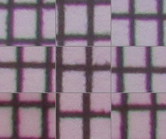 Canon PowerShot SX120 IS: zraje jako víno