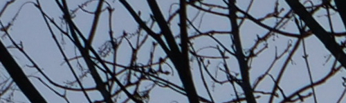 Panasonic Leica DG Vario-Elmarit 12-60mm / F2.8-4.0 ASPH. / Power O.I.S.