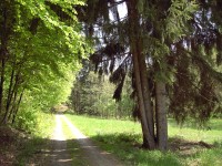 Konica Minolta Dimage E50 - pro každého něco...