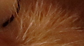 Canon PowerShot G1 X Mark II: významné zlepšení