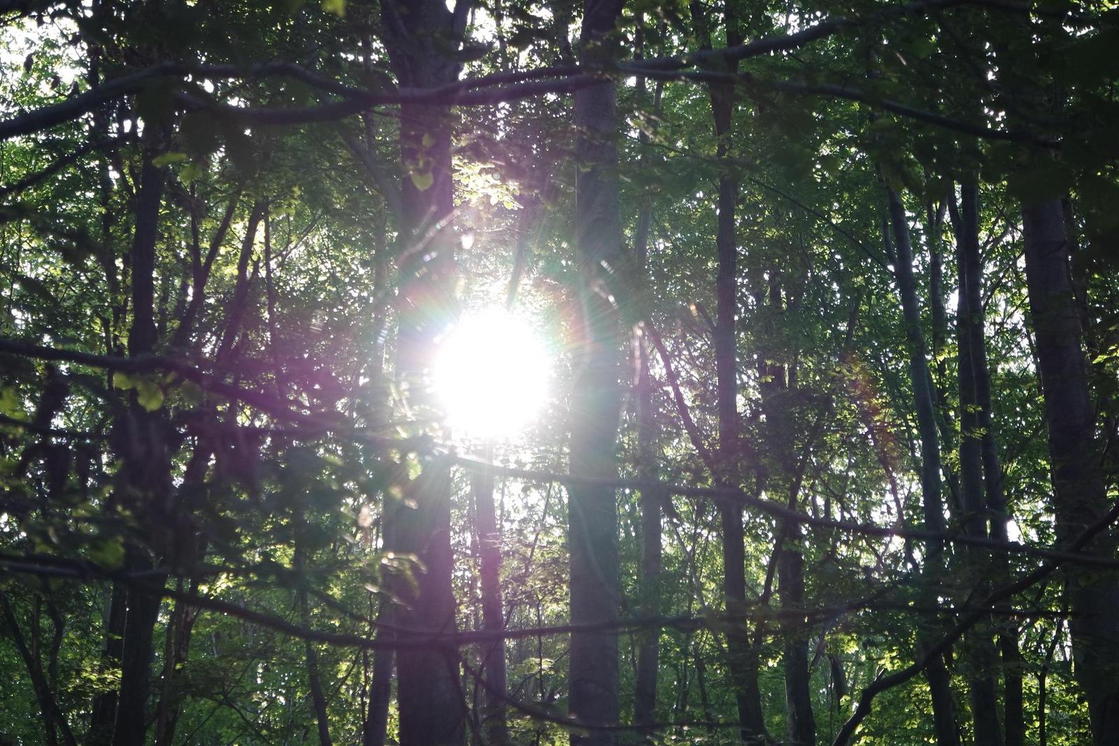 Samsung 16-50mm 1:3.5-5.6 ED OIS Power Zoom