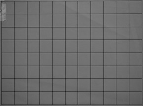 Panasonic Lumix G Vario 35-100mm F4-5.6 MEGA O.I.S.