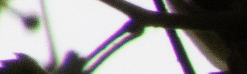 Nikon Coolpix B700: přírodovědec