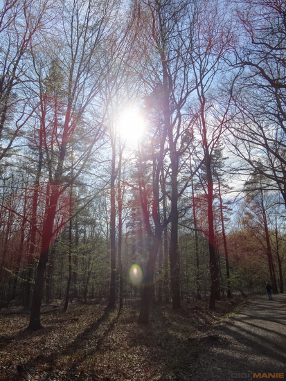 Sony Cyber-shot HX20V: umí snad všechno