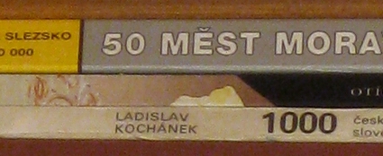 Canon PowerShot A1000 IS: ve stínu předchůdce