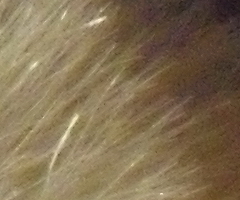 Samsung ST550: jedno LCD nestačí