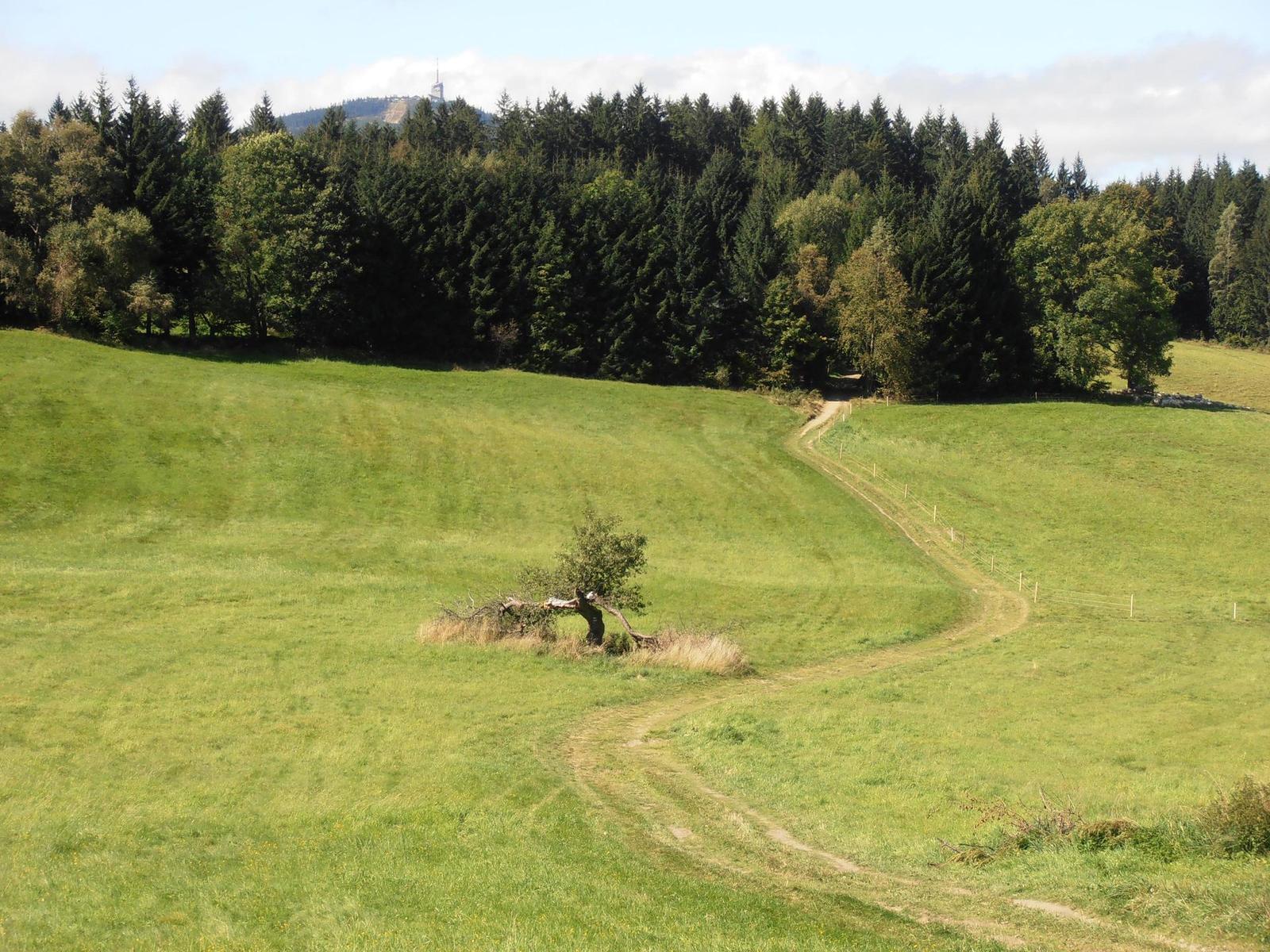 Olympus VR-310 a VR-320: jaké je tajemství úspěchu?