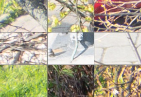 Panasonic Lumix S 24-105mm F4 Macro O.I.S.