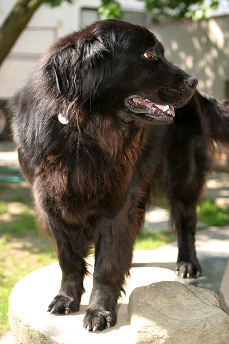 DSLR na cestě časem - 9. díl