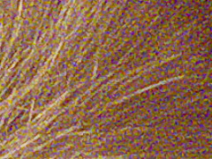 Fujifilm FinePix HS20EXR: důstojný nástupce