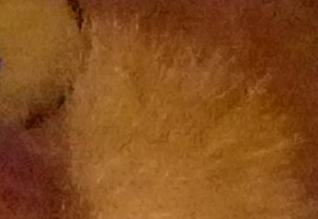 Panasonic Lumix LX7: kompaktní hvězda noci