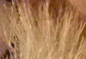 Olympus OM-D E-M5: elegantní fotokladivo