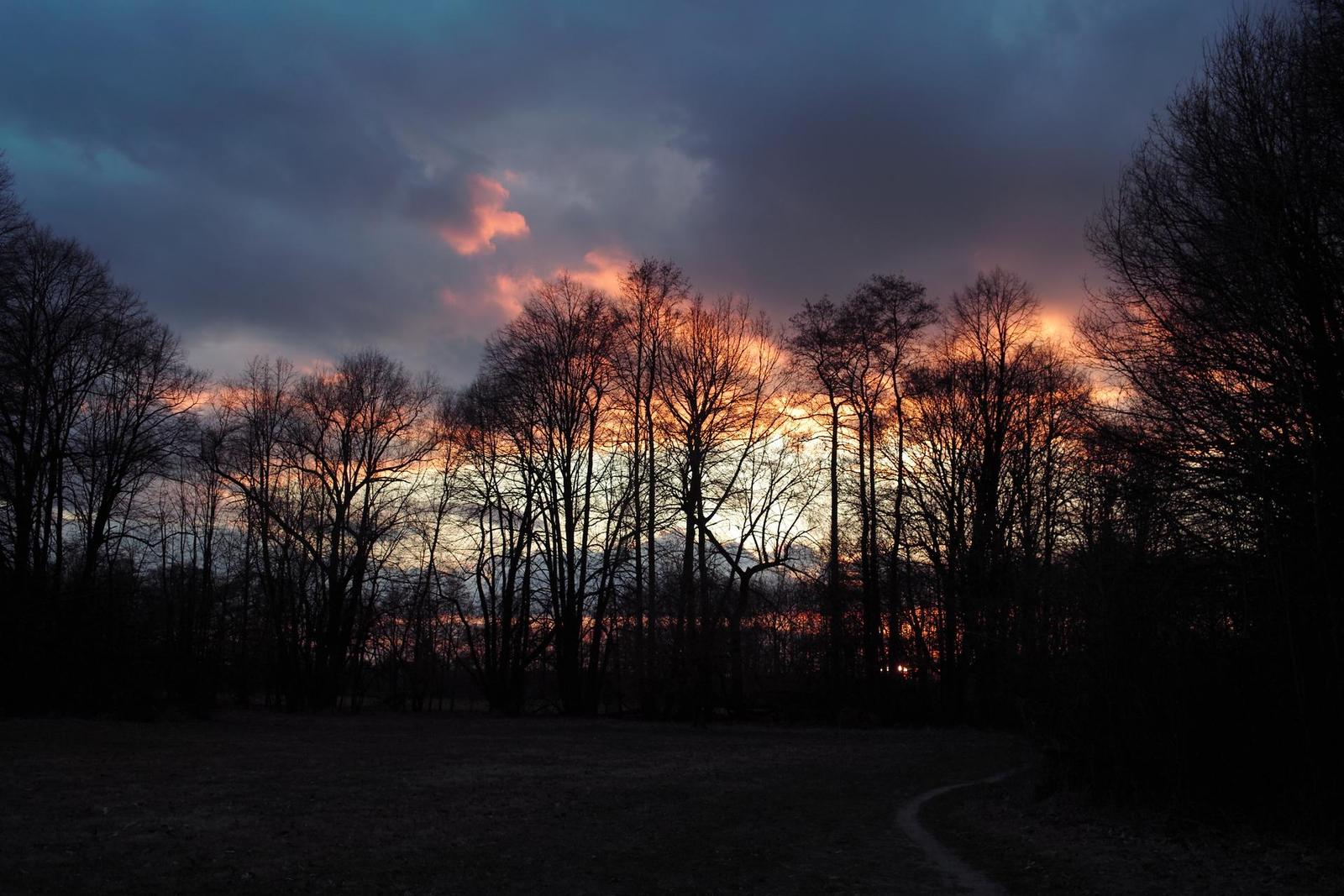 Sigma DP2: otestovali jsme Foveon!