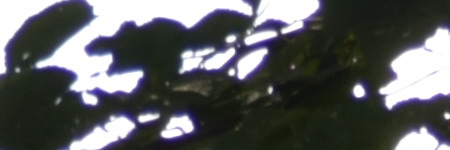 Nikon AF-S DX NIKKOR 55-200mm f/4-5.6G IF-ED VR