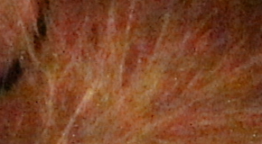 Canon EOS 1200D: vylepšený základ