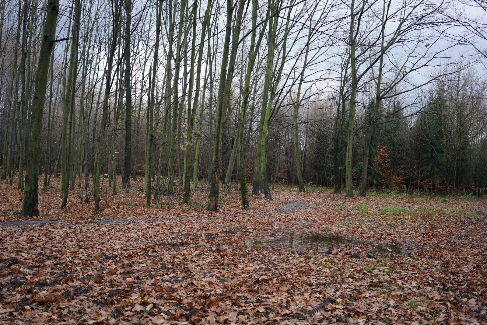 Sony A7R II (ILCE-7RM2): detaily na druhou