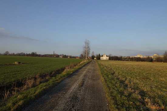 Sony SLT-A77: megapixelový přeborník