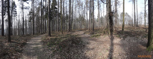 Sony Cyber-shot TX10: odolný zálesák