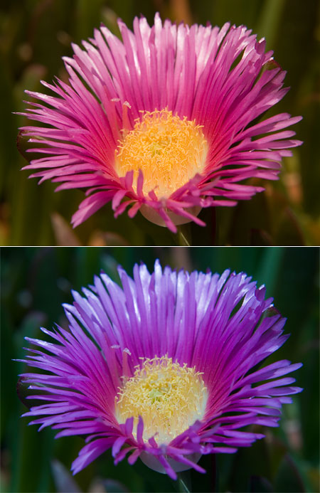 DSLR na cestě časem - 21. díl