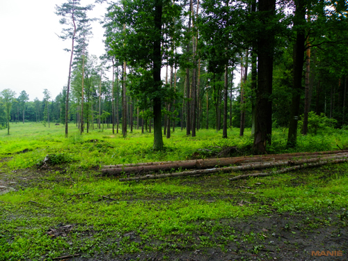 Pentax X70: neobyčejně univerzální kliďas