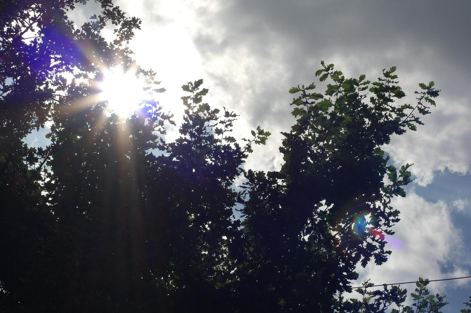 Minolta MD Rokkor 45mm F2.0 (MD)