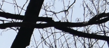 Nikon AF-S DX NIKKOR 35mm f/1.8G