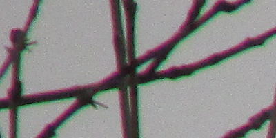 Canon PowerShot SX160 IS: více megapixelů i zoomu