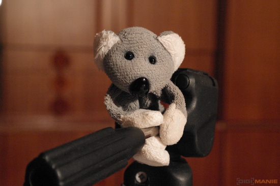 Fotíme s Koalou: Rozlišení a megapixely!