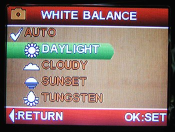 Premier 5384: bytelný, ale pomalý drobeček