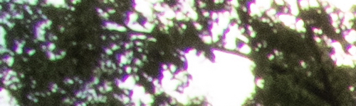 Nikon Coolpix B700: přírodovědec