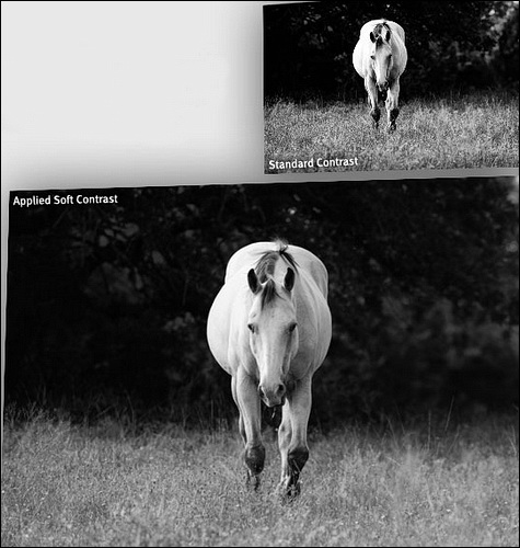 Silver Efex Pro 2: digitální temná komora ve své druhé verzi