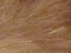 Canon PowerShot SX130 IS: levný všeuměl