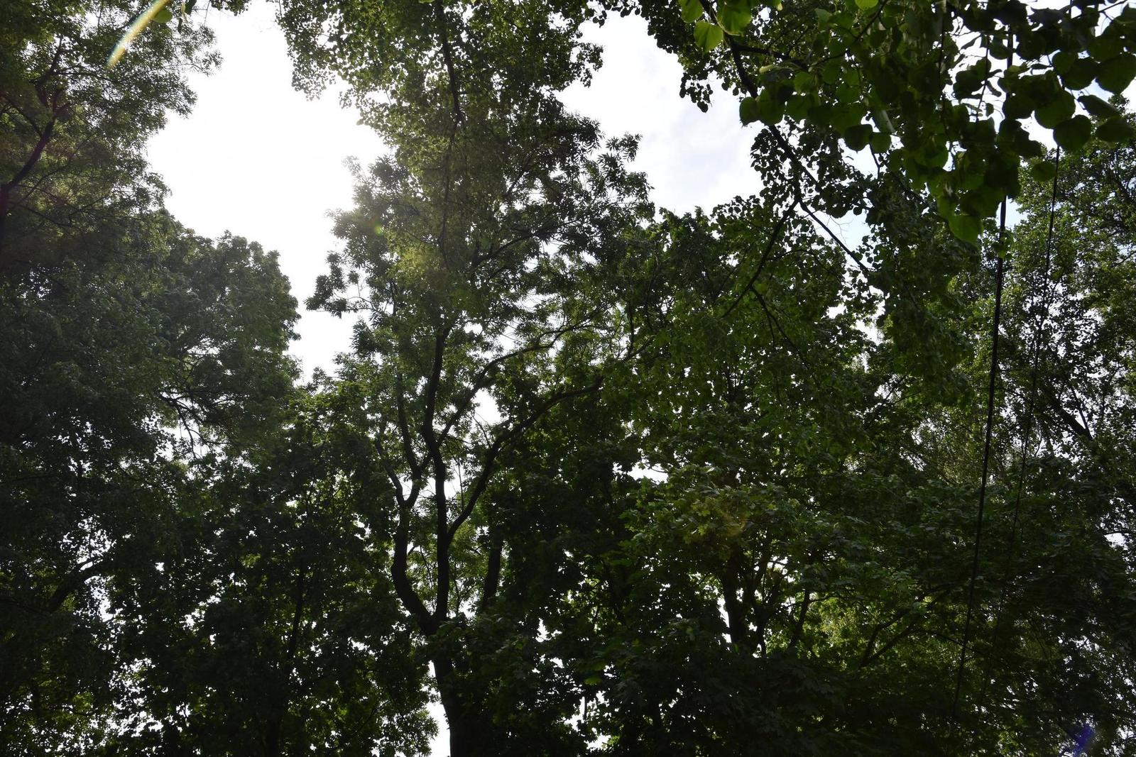 Tamron 16-300mm f/3.5-6.3 Di II VC PZD Macro