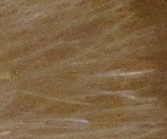 Canon PowerShot SX30 IS: sebevědomý rekordman