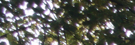 Sony Cyber-shot RX100 III (RX100M3): superSony