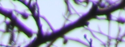 Megatest ultrazoomových objektivů