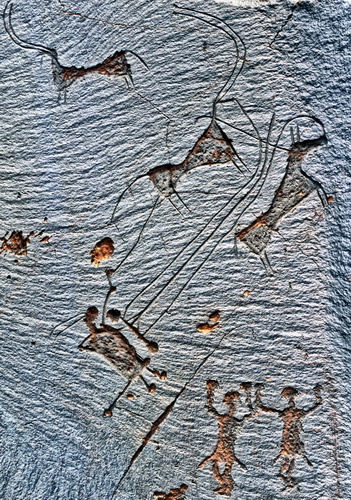 Výstava Pavla Lisého: Skalní umění a život kočovníků