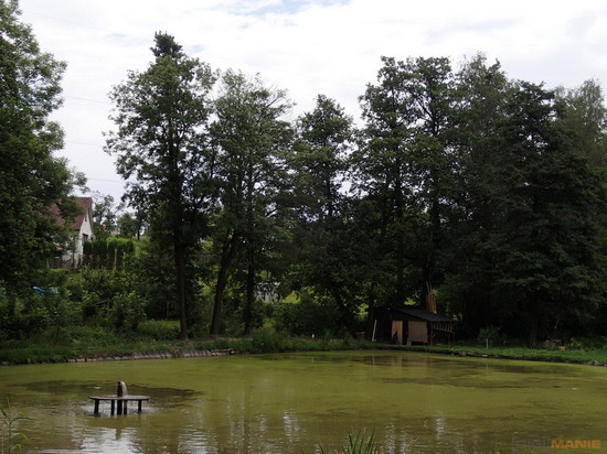 Olympus TG-1 iHS: nejen entomologův sen