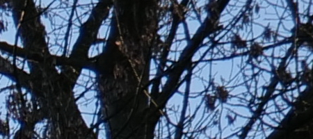 Panasonic Lumix S 20-60mm F3.5-5.6