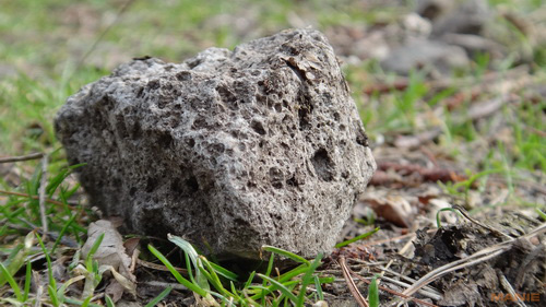 Sony Cyber-shot TX10: odolný zálesák